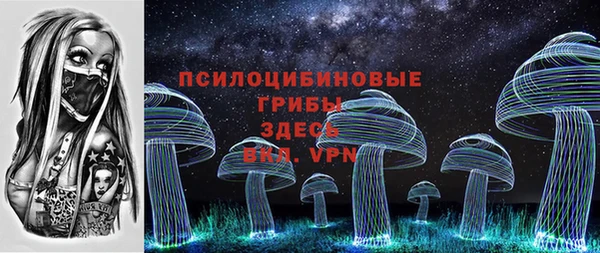 шишки Волосово