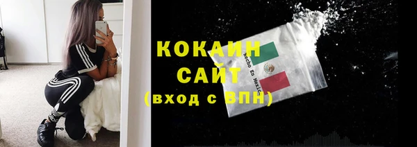 индика Вязники