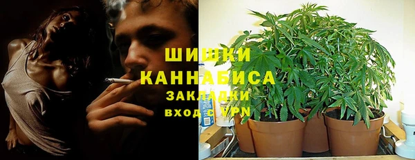 индика Вязники