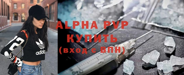 индика Вязники